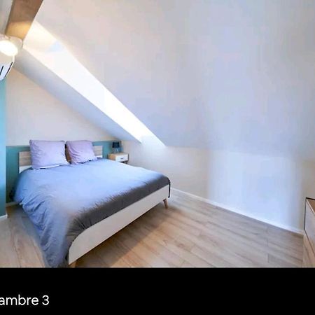 شقة Loft Neuf Avec Bain Jacuzzi Et Terrasse كولمار المظهر الخارجي الصورة