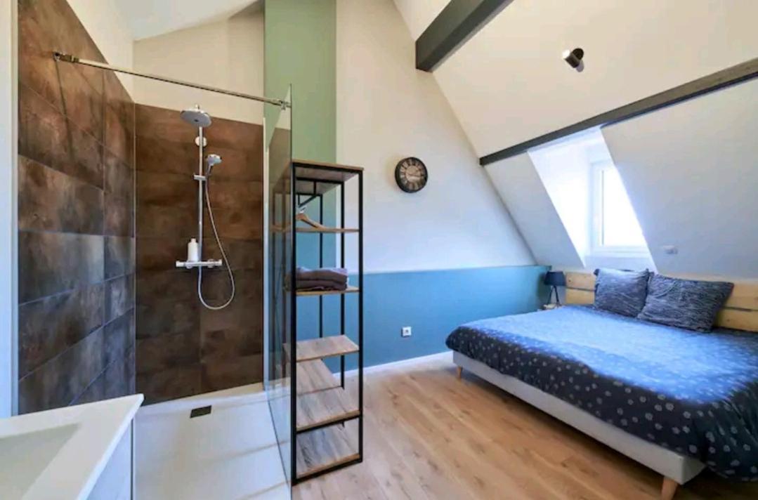 شقة Loft Neuf Avec Bain Jacuzzi Et Terrasse كولمار المظهر الخارجي الصورة