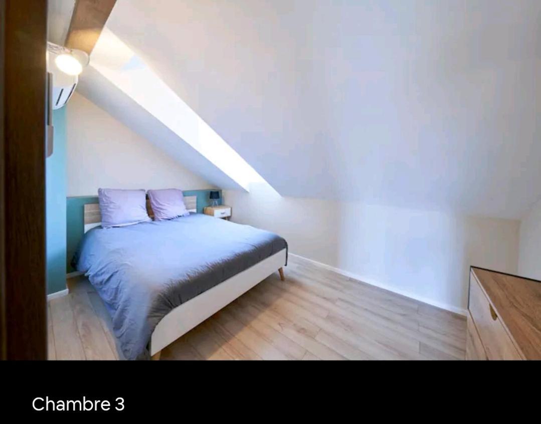 شقة Loft Neuf Avec Bain Jacuzzi Et Terrasse كولمار المظهر الخارجي الصورة